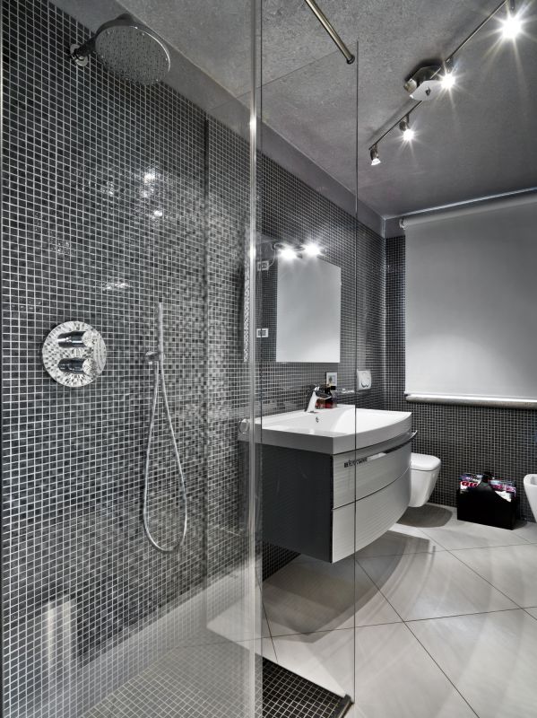 Contemporary Glass Shower